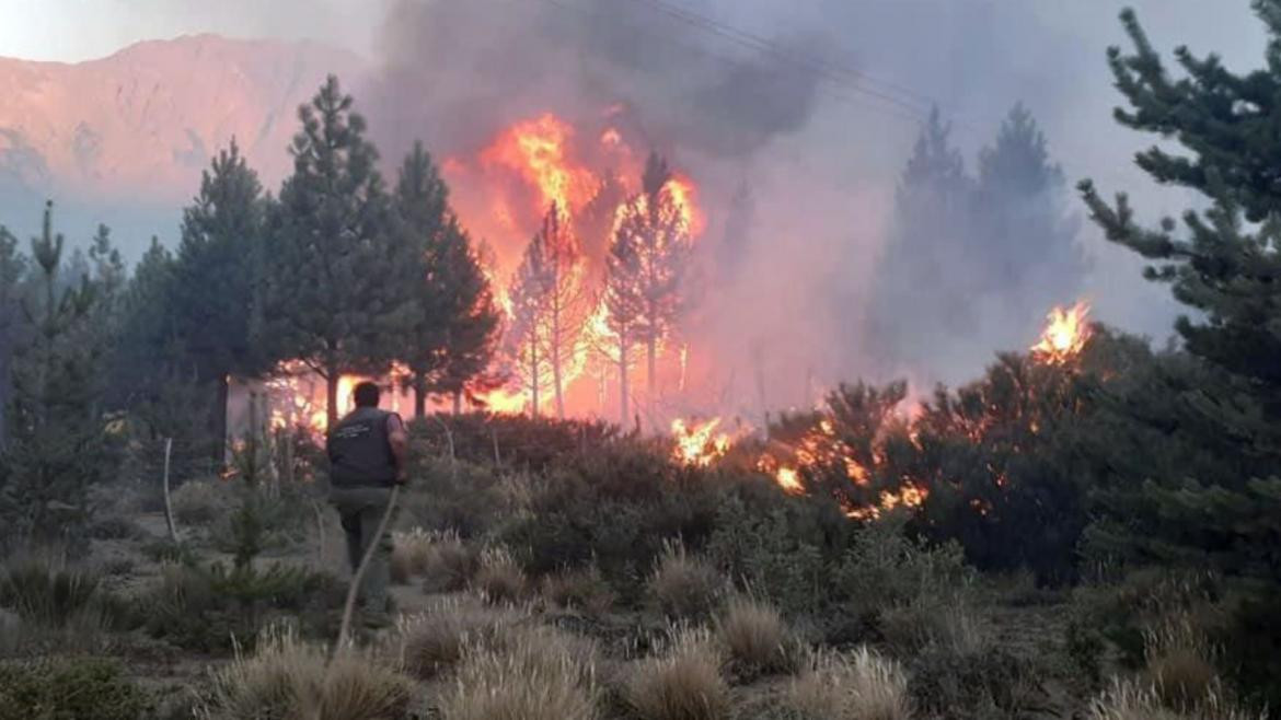 Incendio forestal en el Bolsón