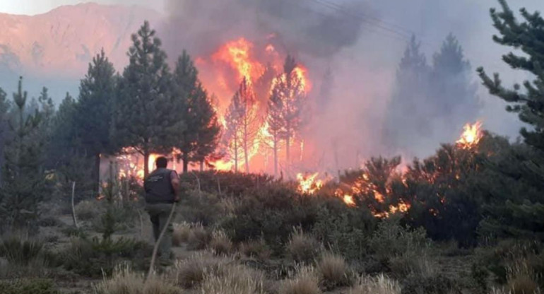 Incendio forestal en el Bolsón