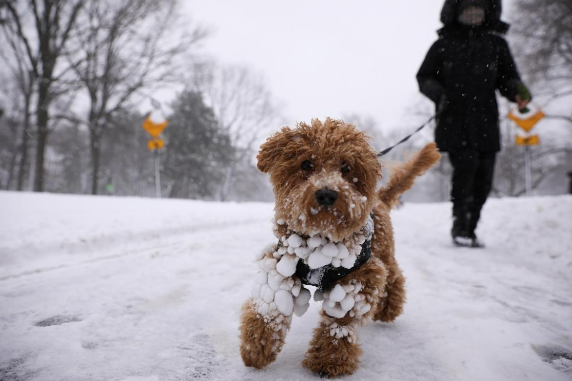 Nueva York bajo nieve, Reuters.