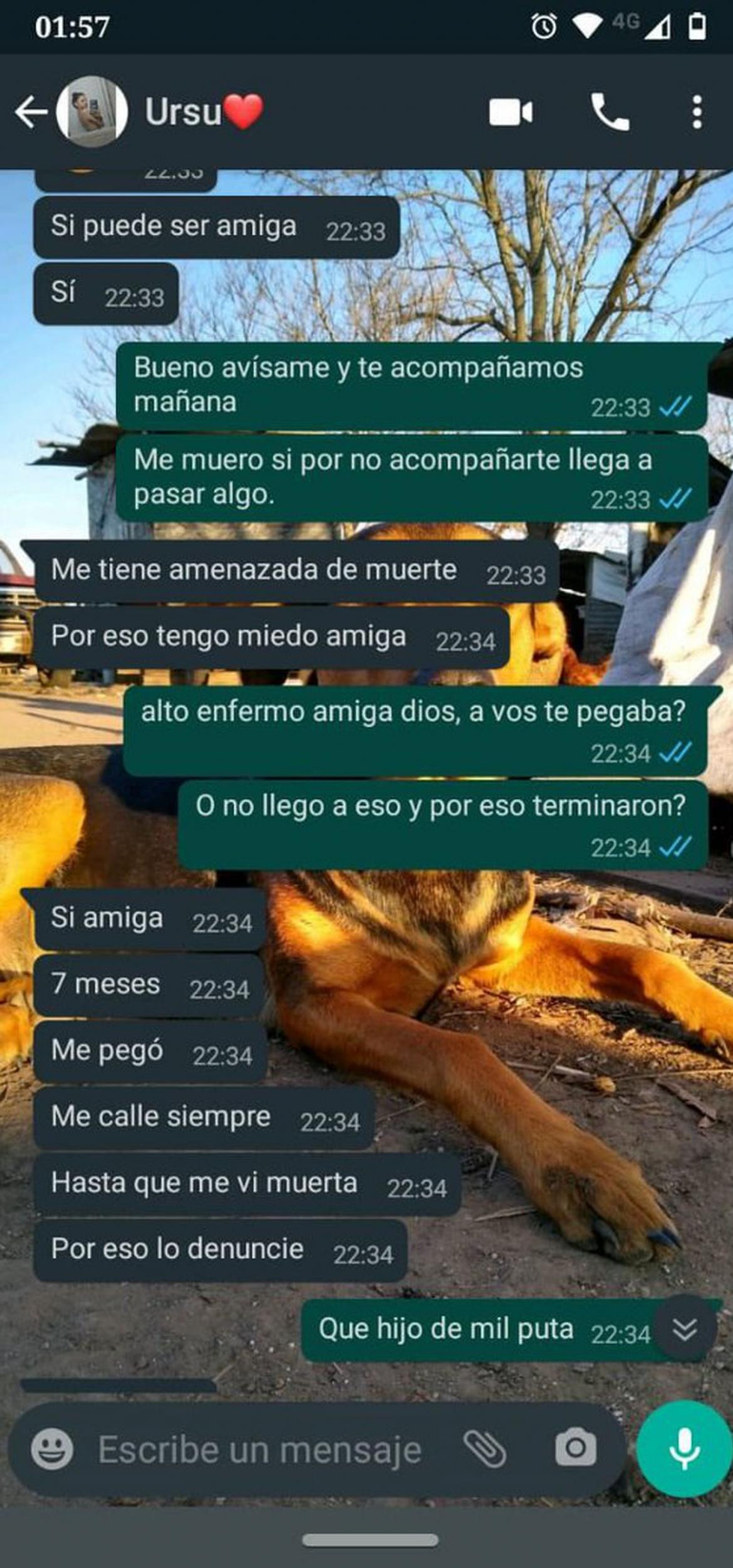 Chats de Úrsula Bahillo y amiga, femicidio en Rojas