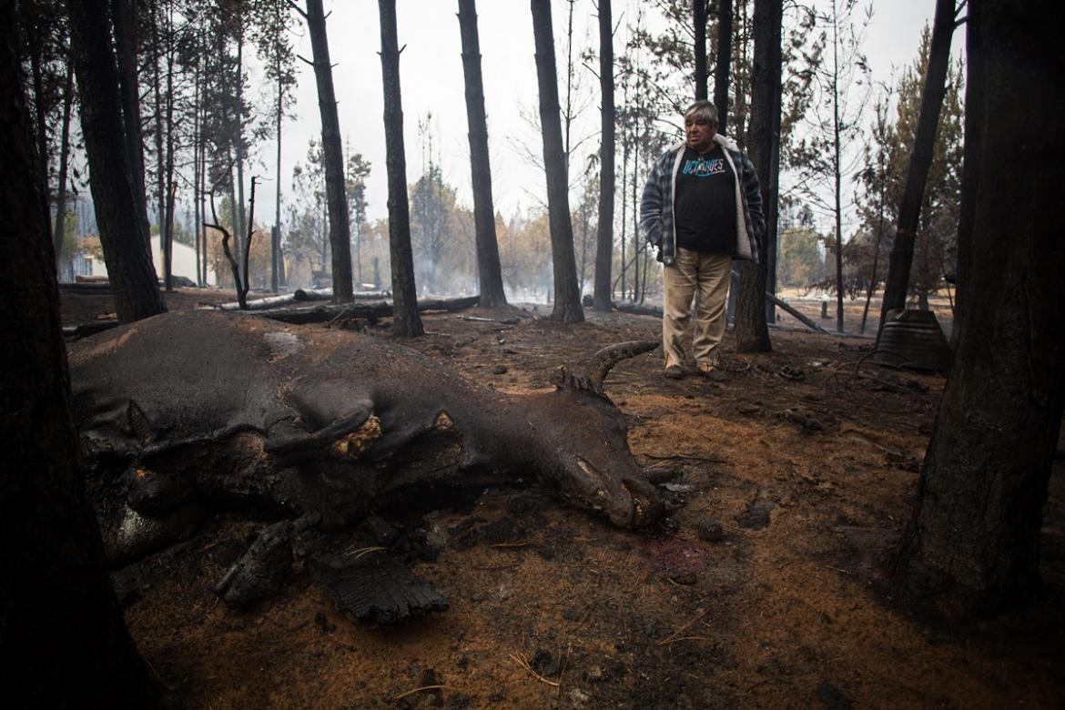 Incendios en la Patagonia, Chubut, NA.