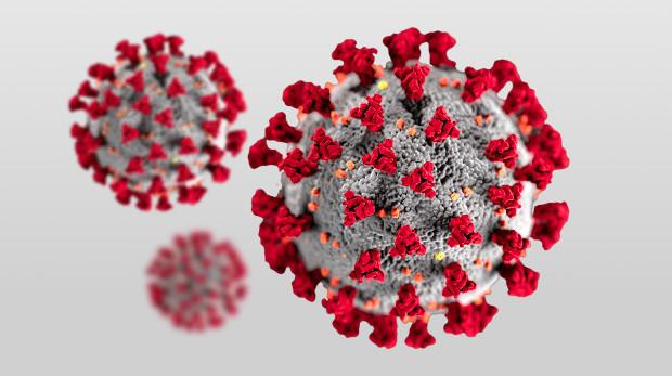 Coronavirus en el mundo, foto artística