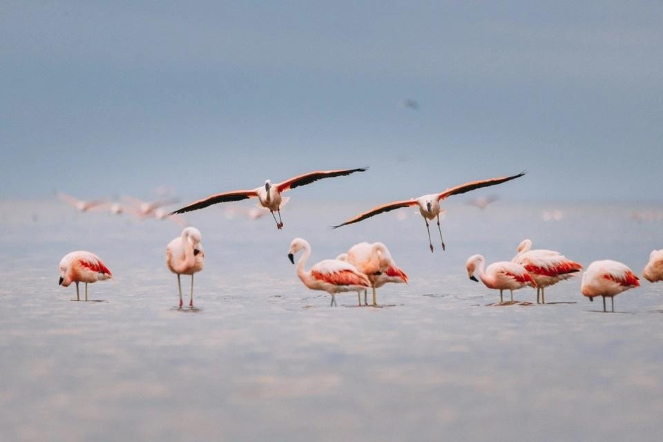 Parque Nacional Ansenuza