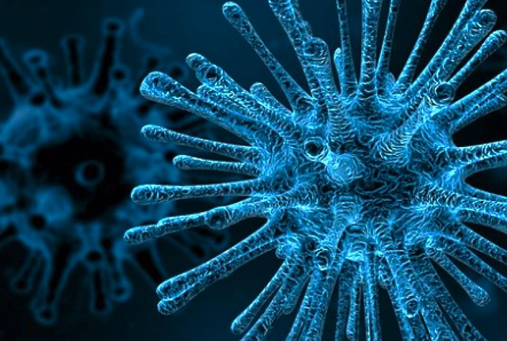 Coronavirus en el mundo, pandemia