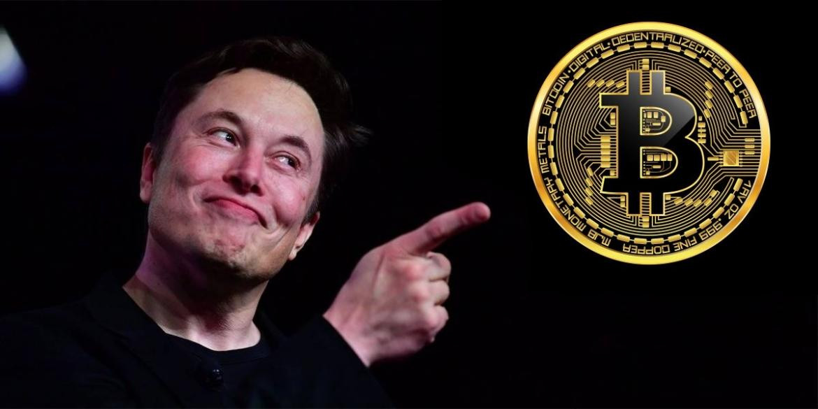 Elon Musk y los Bictoins, Economía. 