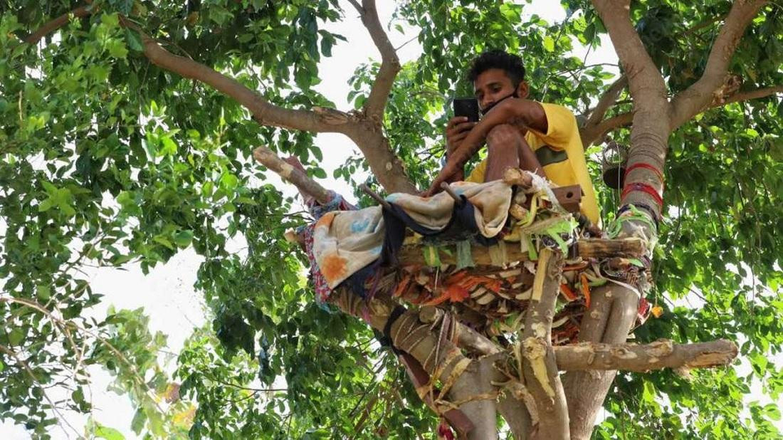 Shiva vivió en un árbol para no enfermar a su familia de coronavirus. Foto: The Print