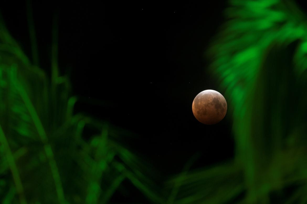 Eclipse Lunar, Estados Unidos, REUTERS