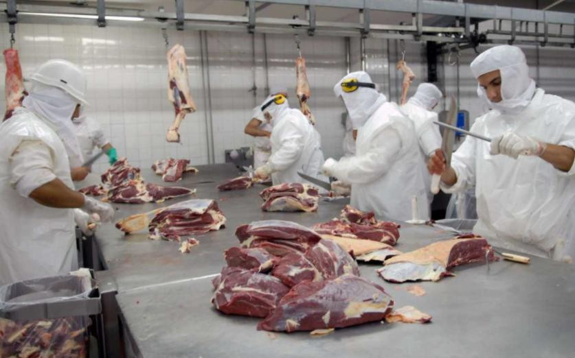 Carne, economía argentina, NA