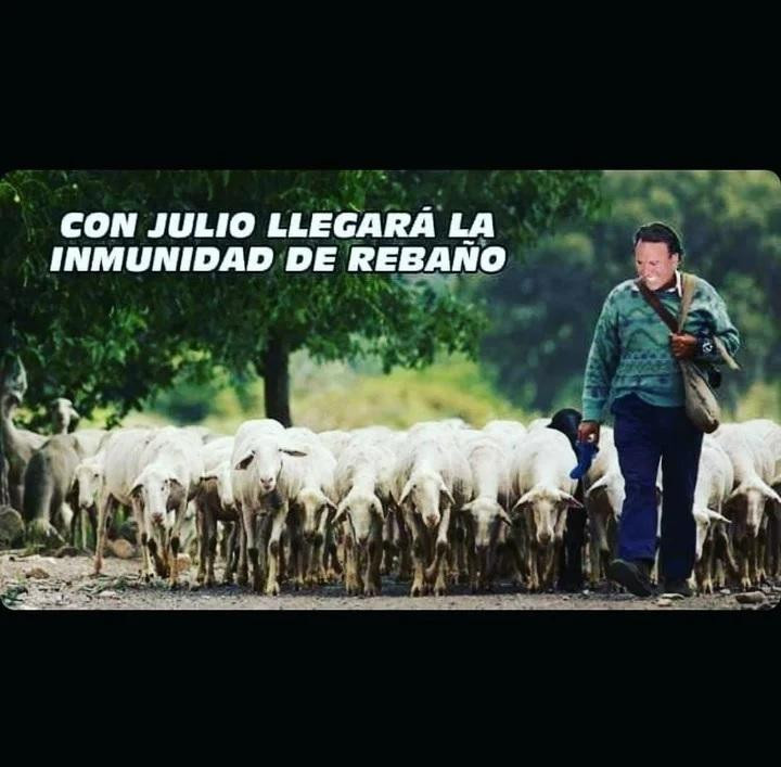 Memes de Julio Iglesias