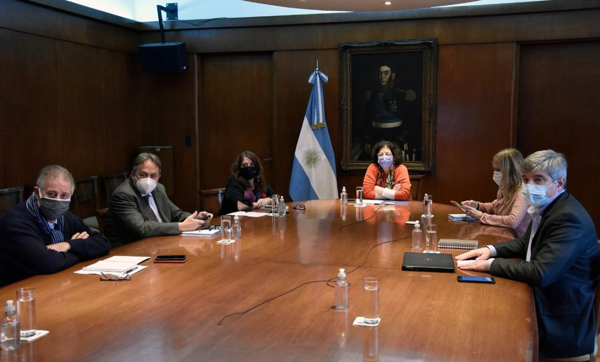 Carla Vizzotti en el Consejo Federal de Salud