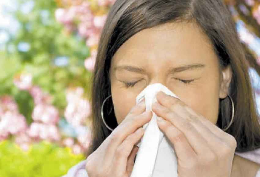 Salud y alergias