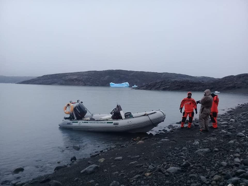 ¿Cómo terminó la historia del puma varado sobre un iceberg en la Patagonia?