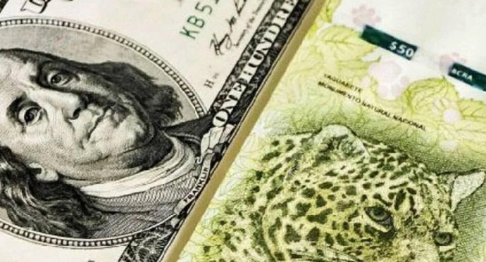Bonos del tesoro, dólares estadounidenses, pesos argentinos