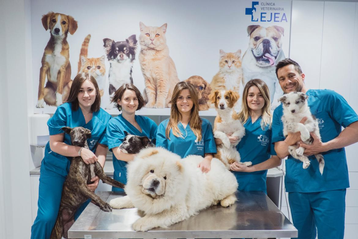 Veterinarios