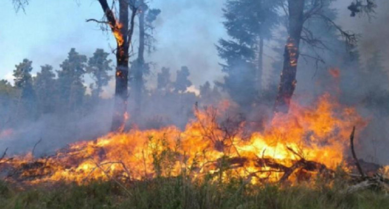 Feroz incendio forestal en Córdoba