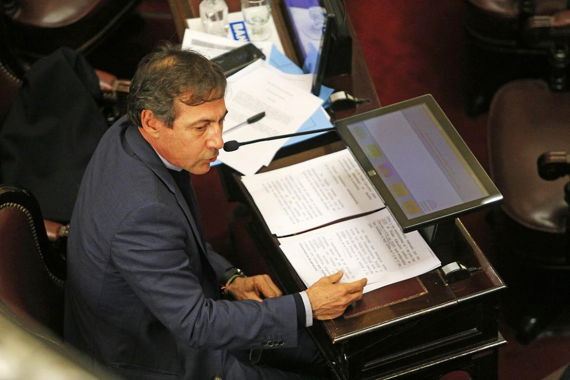 Luis Naidenoff, senador nacional. Foto NA.