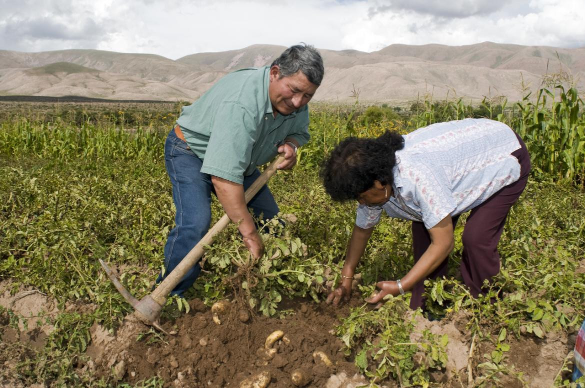 Agricultura