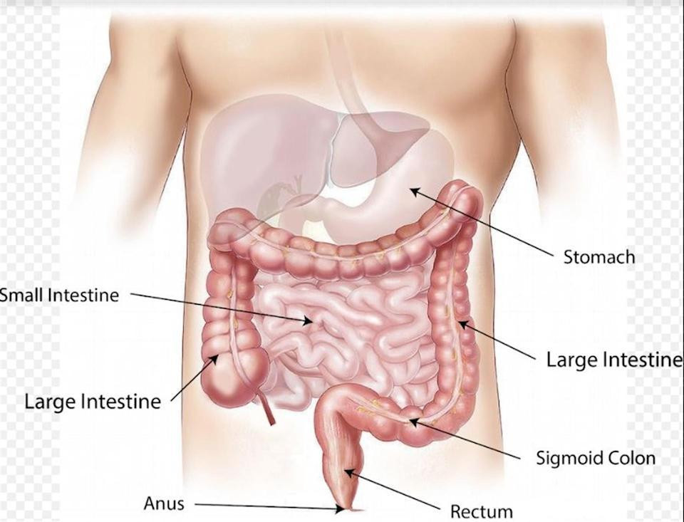 Cáncer colorrectal, salud, Reuters