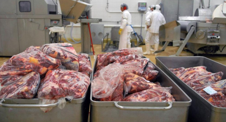 Carne, frigorífico, carne argentina, exportación de carne, NA