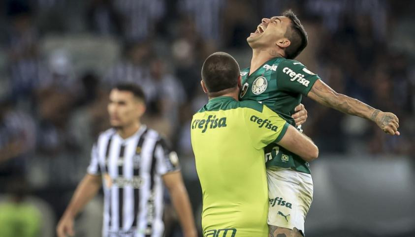 Palmeiras, Copa Libertadores, foto NA