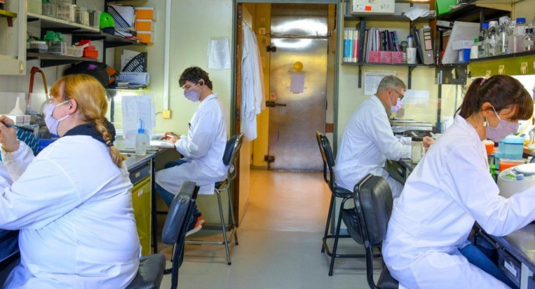 Trabajo sobre la vacuna argentina contra el coronavirus, Foto Instituto Leloir