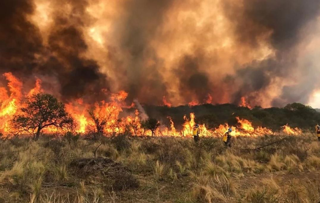 Incendios forestales en San Luis