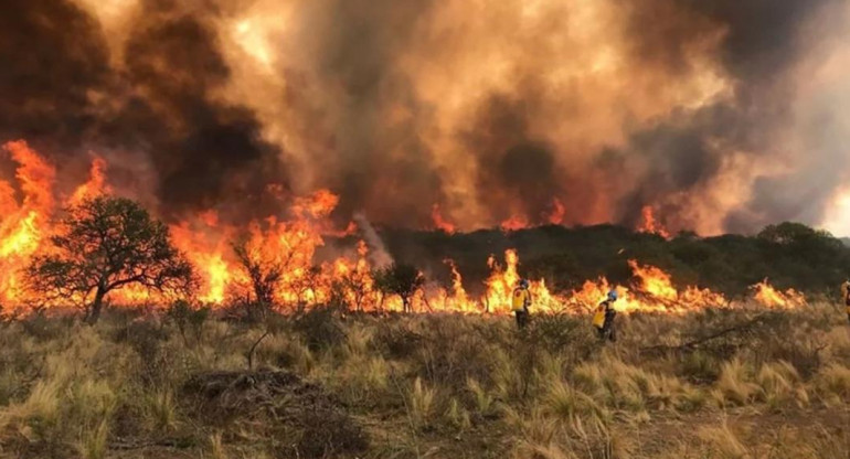 Incendios forestales en San Luis