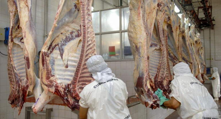 Exportación de carne, economía argentina, NA