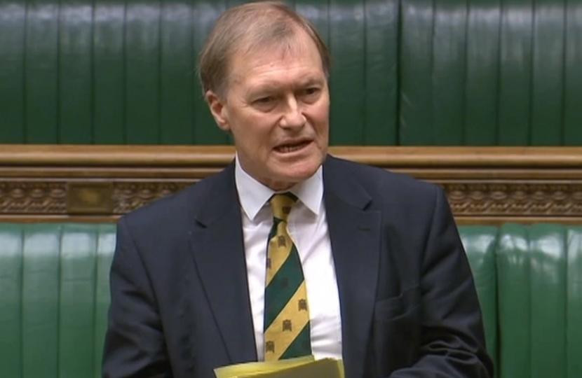 David Amess, diputado