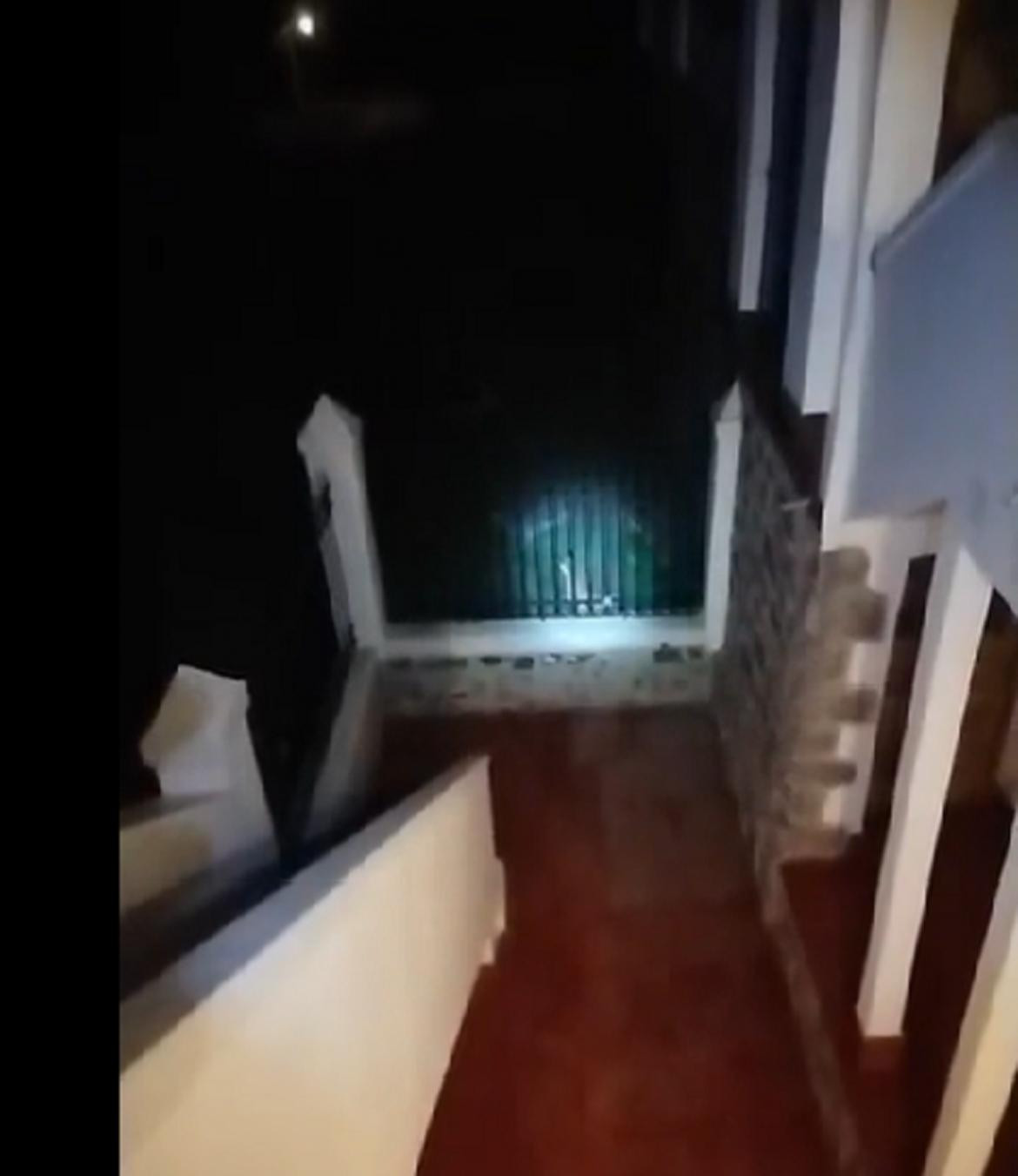 Córdoba: un puma se comió a cuatro gatitos y genera pánico entre los vecinos