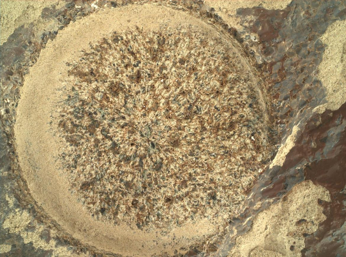 Minerales en Marte, Perseverance, Foto: JPL/NASA