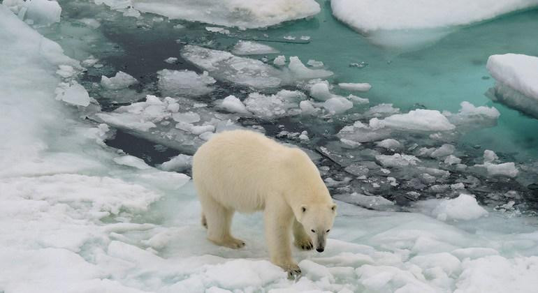 Ártico, calentamiento global