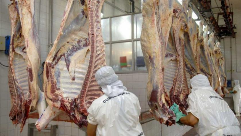 Carne, economía argentina, NA