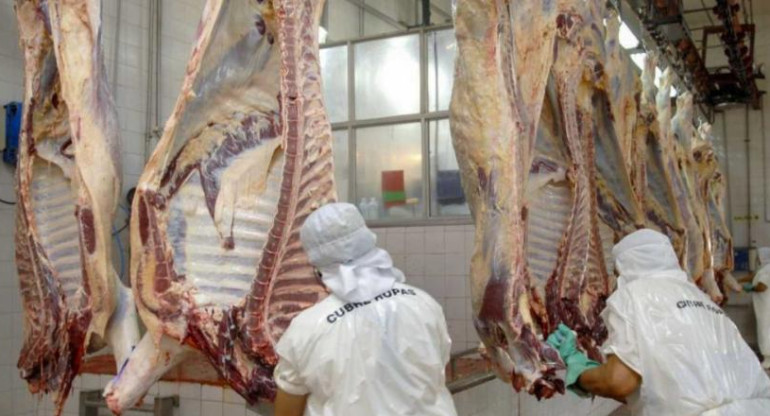 Carne, economía argentina, NA