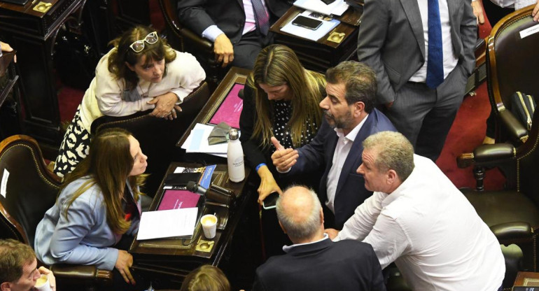 Debate en Diputados por Presupuesto 2022, foto NA