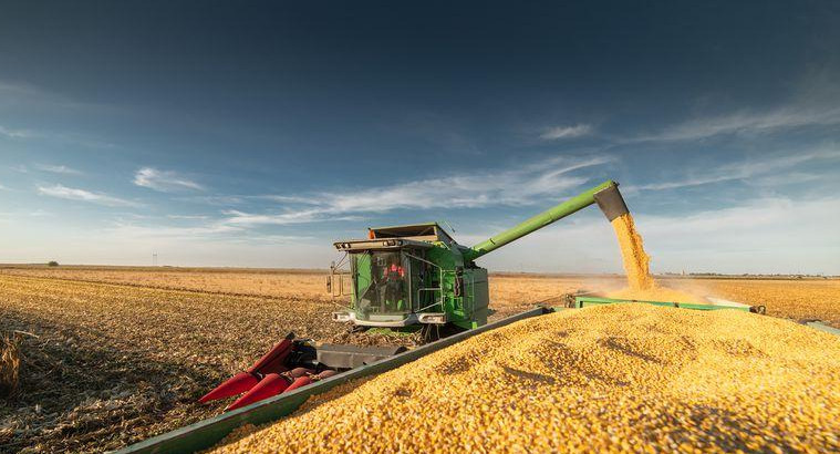 Exportaciones de maíz, economía argentina, NA