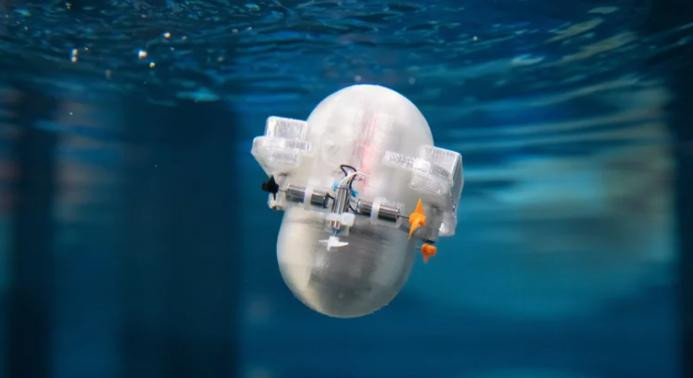 Robot marino 