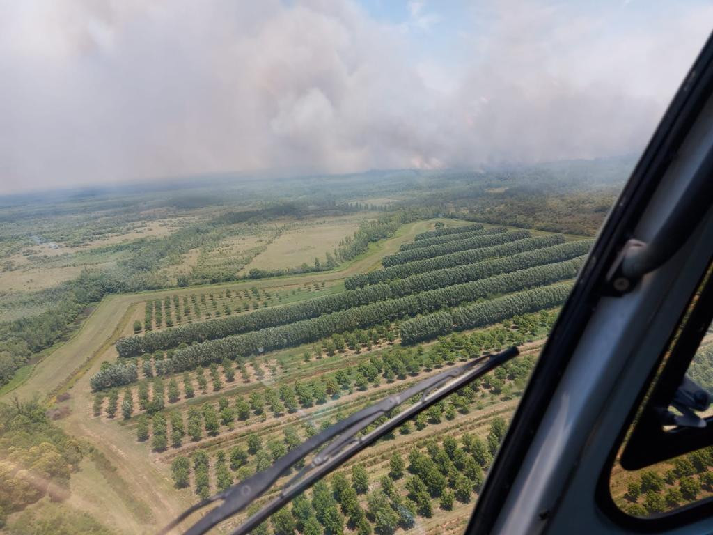 Brigadistas combaten incendios en el delta del Paraná