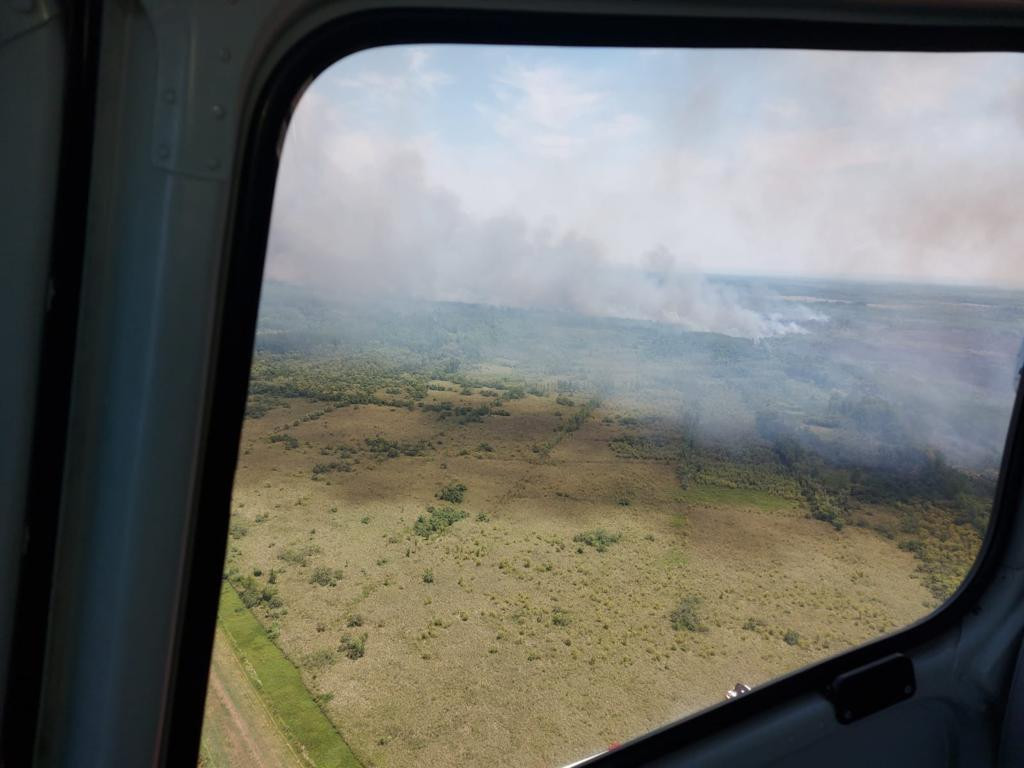 Brigadistas combaten incendios en el delta del Paraná