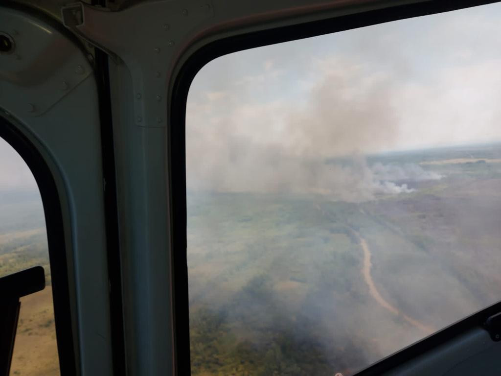 Brigadistas combaten incendios en el delta del Paraná