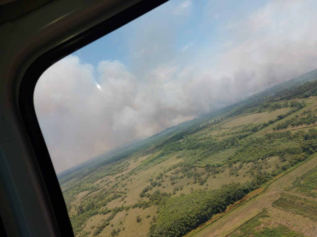 Brigadistas combaten incendios en el delta del Paraná