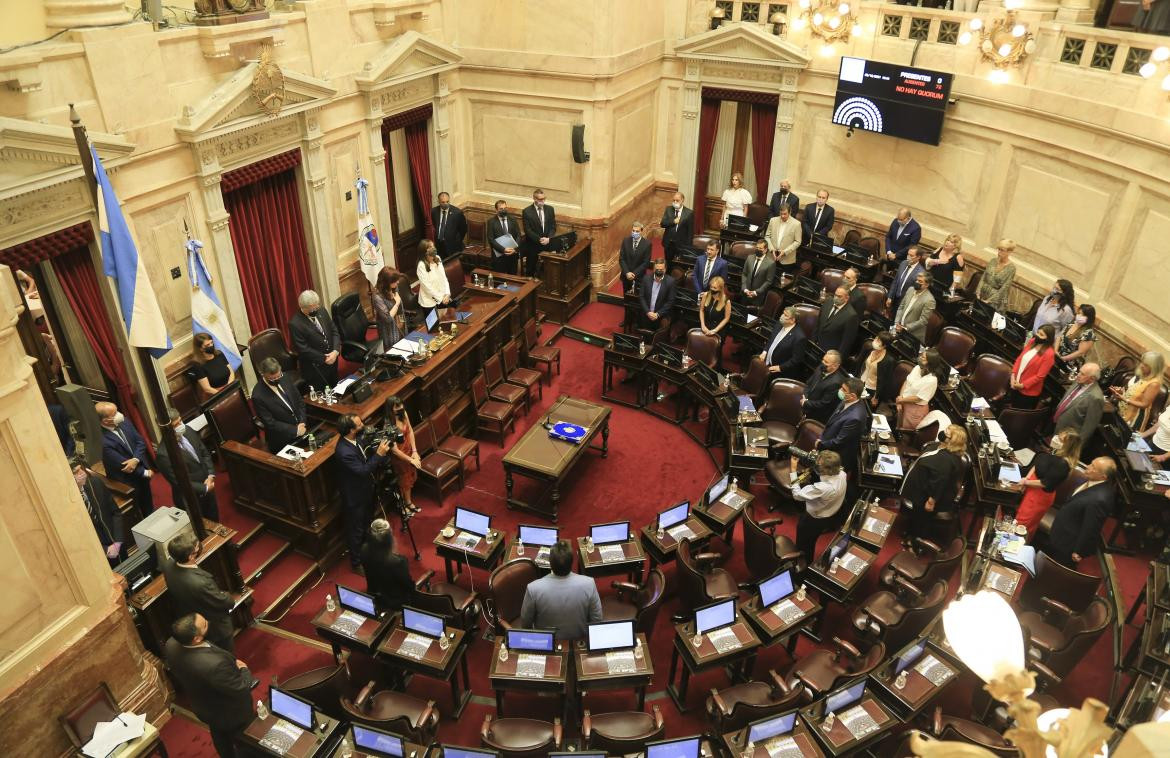 Debate de Bienes Personales en el Senado, AGENCIA NA