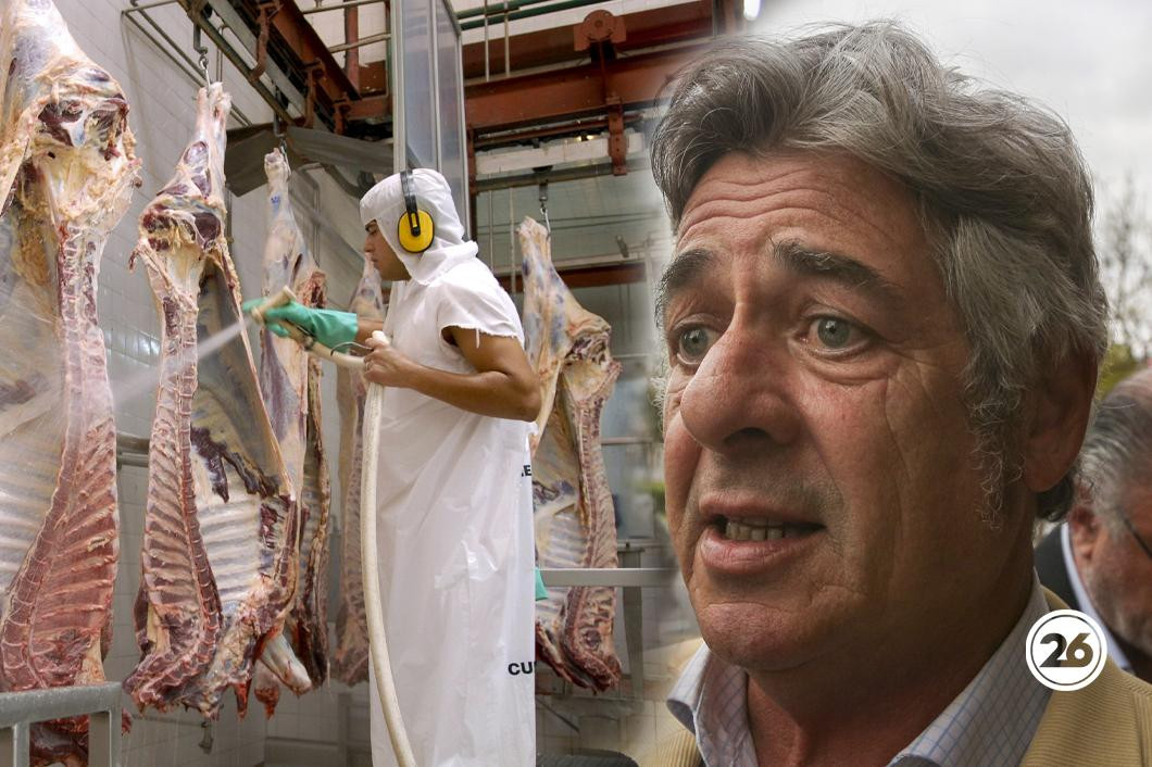 Nicolás Pino, carne, exportaciones, NA