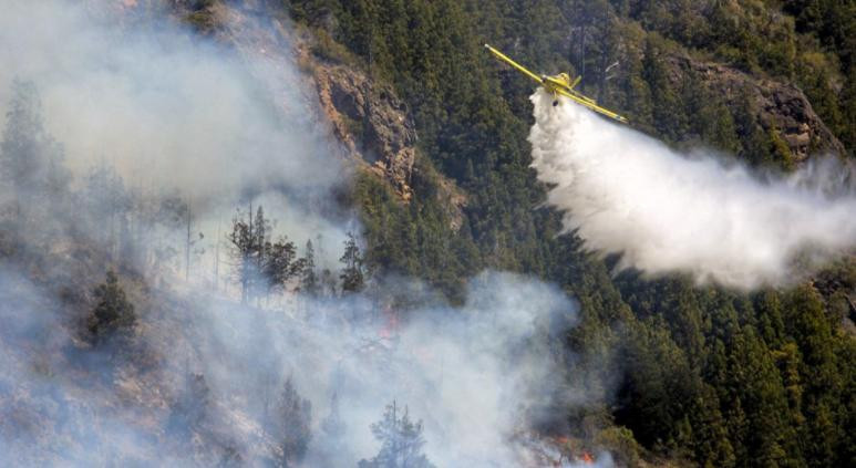 Incendio forestal