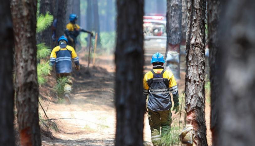 Incendios en Corrientes, foto NA