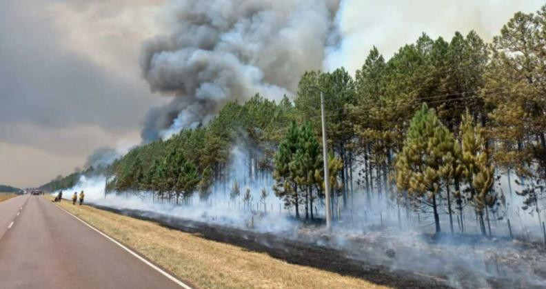 Incendios en Corrientes, foto NA