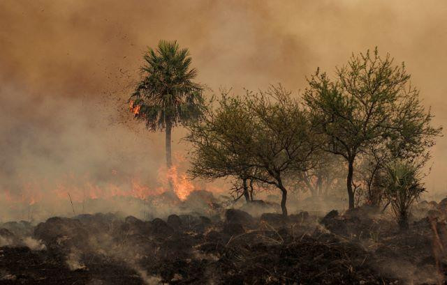 Continúa el combate de los incendios en Corrientes 23-2-22