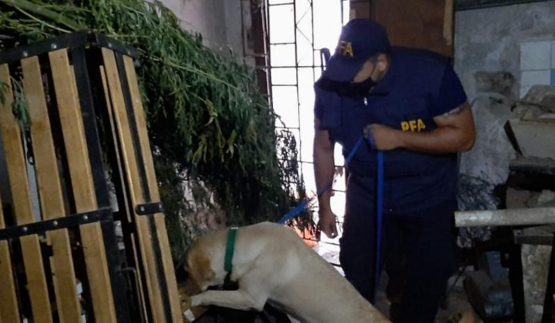 Operativo policial en San Luis, foto NA