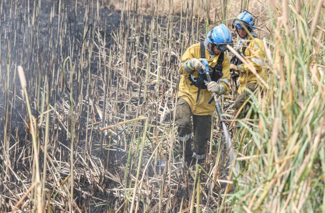 Incendios en Corrientes, NA