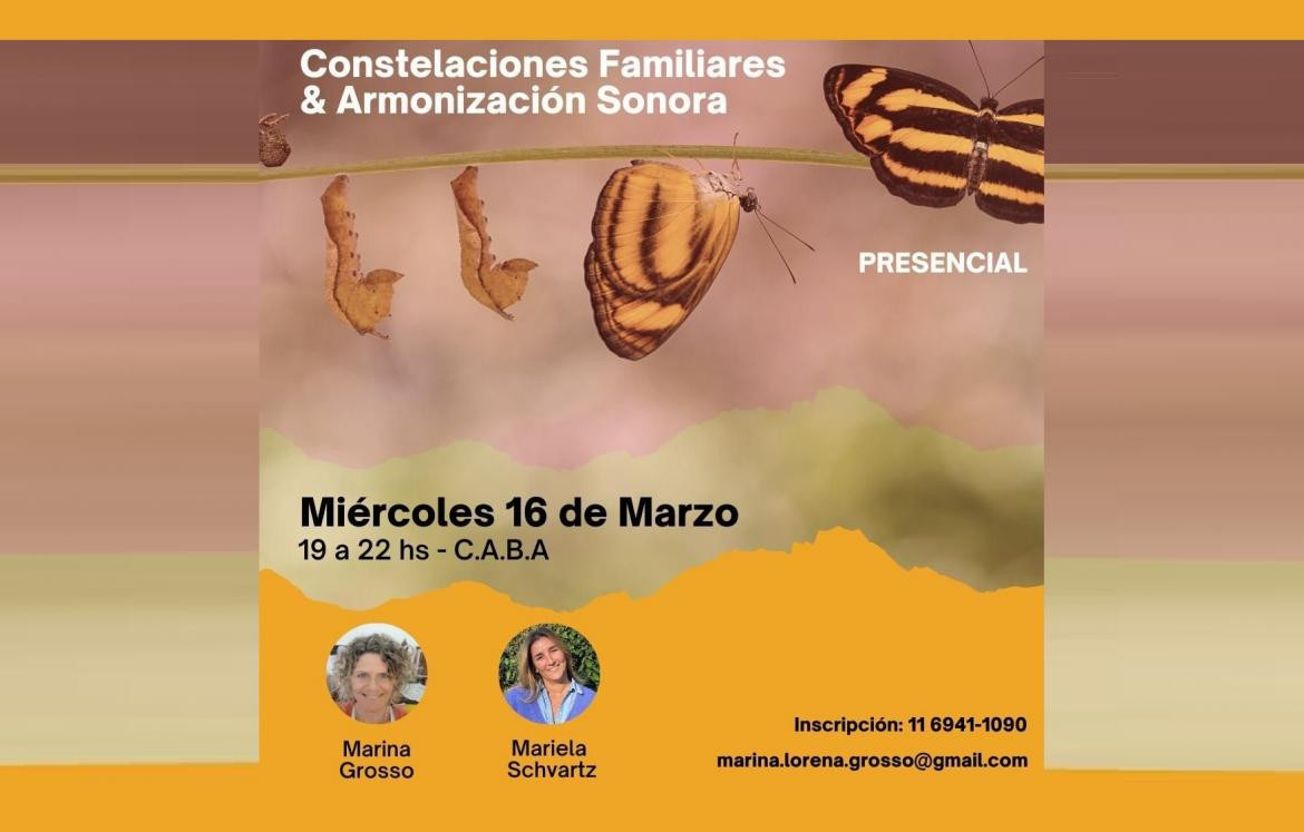 TALLER DE CONSTELACIONES FAMILIARES Y ARMONIZACION SONORA 